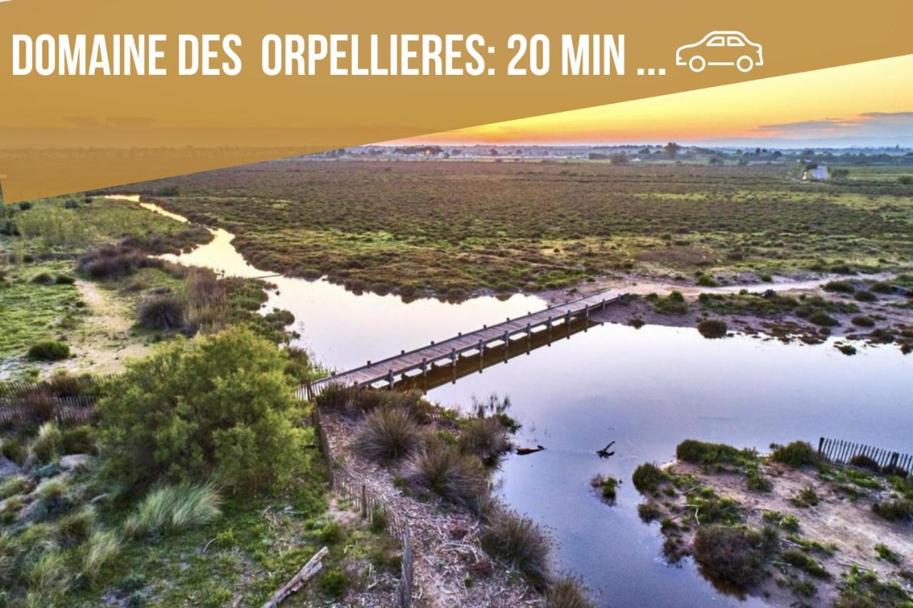 Centre Historique -Free Parking-Wifi-Netflix-Zen&Cosy-Sleepntripbeziers公寓 外观 照片
